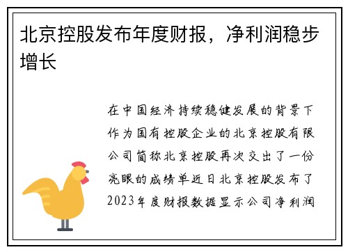 北京控股发布年度财报，净利润稳步增长